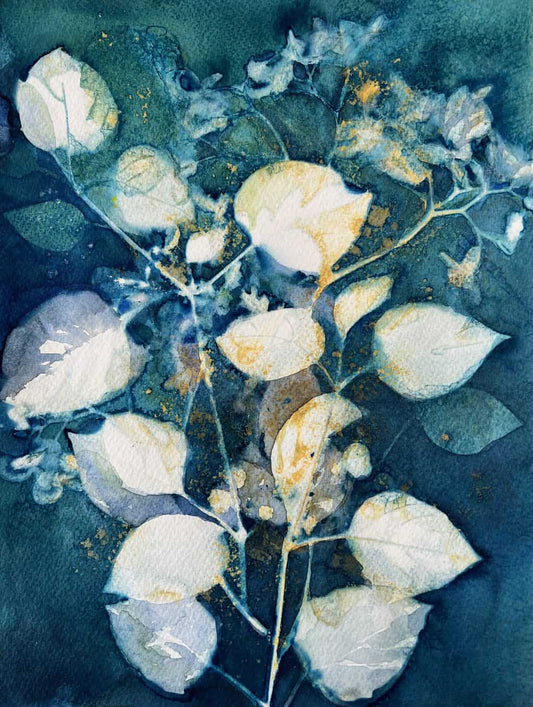 Chinese Violet and Begonia
