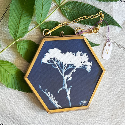 Cyanotype Ornament - u
