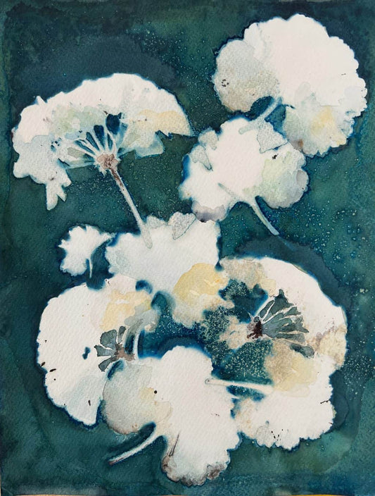 Geranium One