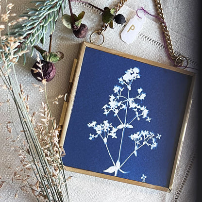 Cyanotype Ornament - p