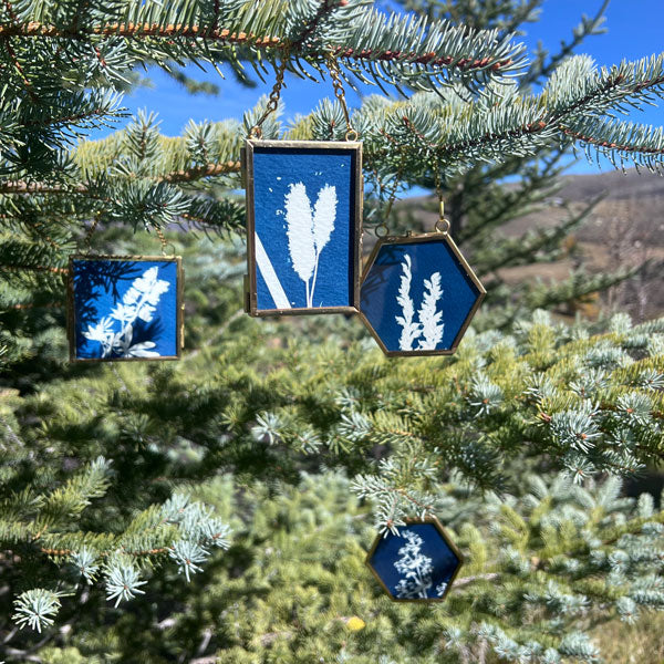 Cyanotype Ornament - a